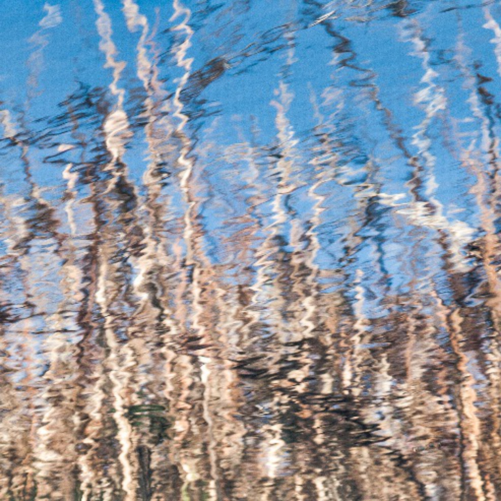 Series fragment — reflection on water, abstract pattern
